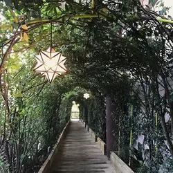 【静岡・熱海×星野リゾート】冬はフォトジェニックなホテルでおこもり旅のススメ♪