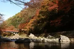 【絶景】京都の紅葉スポットに行ってみた！