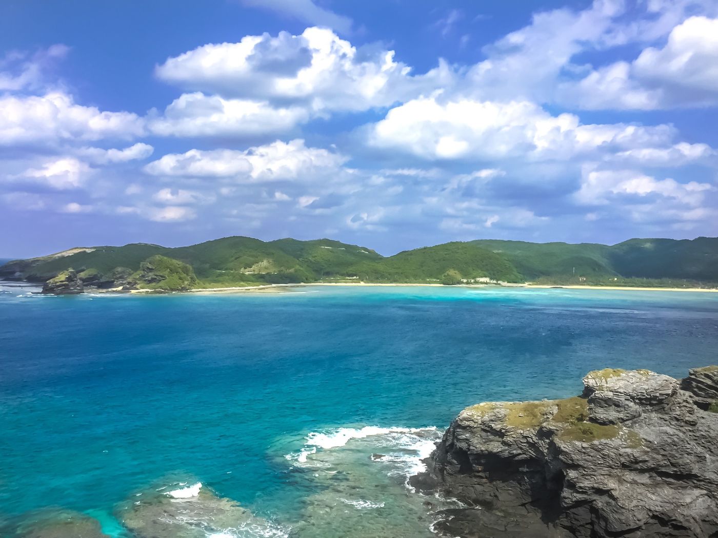 の画像