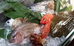 目黒で新鮮な魚を満喫！名店の揃う街で、おすすめ4店を厳選ご紹介◎