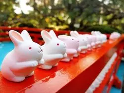 【京都】うさぎ！うさぎ！うさぎ ！のパワースポット！