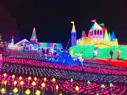 【千葉】バスツアーでお手軽旅しよ♡東京ドイツ村の見どころご紹介！
