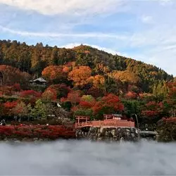 【大阪】受験や就職など勝負が控えている人必見！？勝運の寺「勝尾寺」