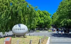 【2023】上野公園見どころ14選！動物園＆美術館などを徹底解説