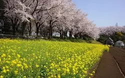 町田で遊びつくす！世代別おすすめ遊び場10選