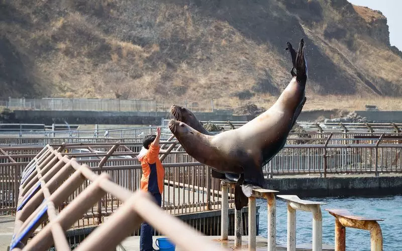 2. 小樽の地形を利用した人気観光地「おたる水族館」 1枚目