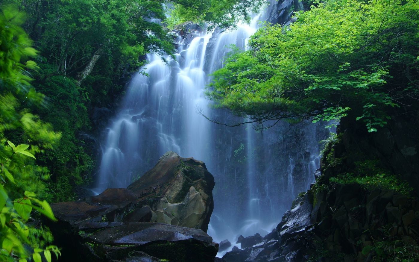 の画像