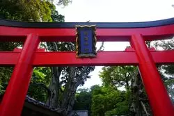 下田で1日遊び尽くす！ドライブ周遊プラン♪