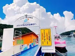 【佐賀】海底探検しよう！呼子観光はクルージングで満喫☆
