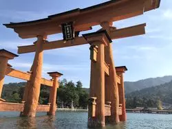 【見て・体験して】広島旅に出よう☆「宮島」を大満喫できるスポット