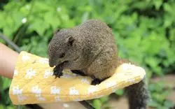動物に癒されたい！東京にある“穴場”の動物園をご紹介♪