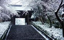 車で行きたい鎌倉観光！地元民おすすめルートも♪