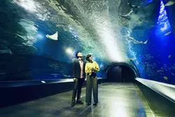 【部屋数残り僅か】クリスマスの真夜中デート♡閉館後の水族館で過ごす幻想的なプラン