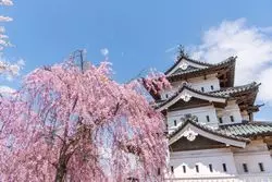 青森へ飛行機で行こう！各地域からいくら？費用をまとめてご紹介