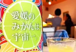 お酒好きにはたまらない！？100種類のお酒が飲み放題なお店！