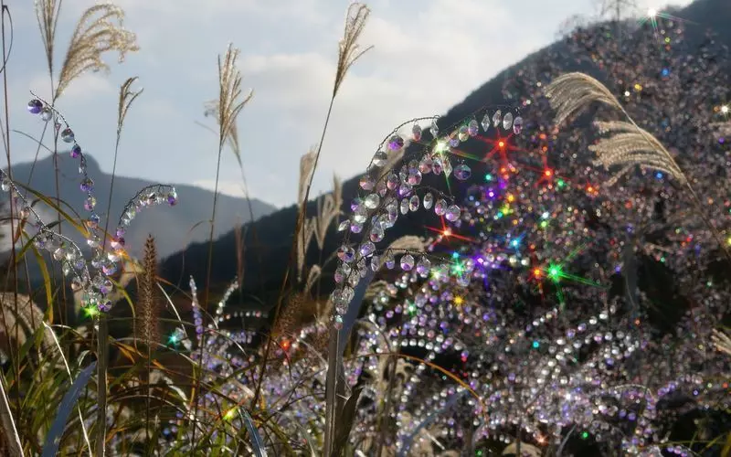 15. 繊細なアートがきらめく神奈川の観光スポット「箱根ガラスの森美術館」 2枚目