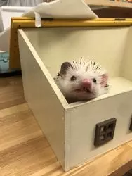 【東京】動物さん達の秘密の隠れ家で癒されよう♡