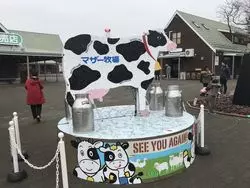 【千葉】たくさんの動物に触れあえる！「マザー牧場」へ行こう♪