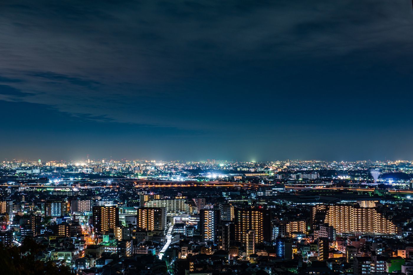 の画像