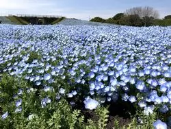 【福岡】綺麗な景色と美味しいグルメを求めて！福岡旅♪