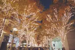 東京のイルミネーションを満喫しよう♡おすすめお散歩コース！