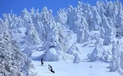 山形駅で観光♡アクセス良好な冬の山形蔵王オススメスポット♪
