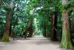 【茨城】パワースポットとして有名♪「鹿島神宮」をご紹介（パート2）