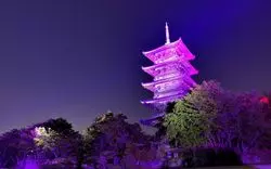 岡山の魅力をサイクリングで満喫！筆者オススメスポット厳選10選♡