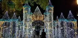 【広島】もう行った？都会に現れるイルミネーションの世界♡