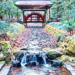 関空から行くラクチン新潟親孝行の旅♡グルメ＆見所盛り沢山の弥彦温泉編◎