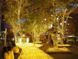【福岡×イルミネーション】夜のまばゆい光を楽しもう♡