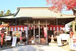 仙台の有名な神社10選！人気パワースポットを巡ってご利益を頂こう