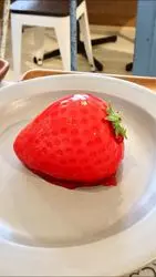 【静岡県】いちごパラダイス！「伊豆いちごファクトリー」をご紹介♪
