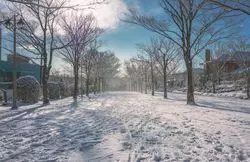 気になる仙台の雪事情！しっかりと対策をして観光を楽しもう