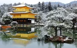 【冬の京都】情緒あふれる雪の街。おススメの観光地はこちら♡