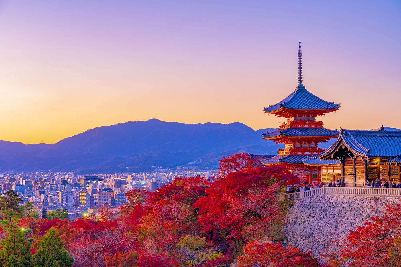 の画像