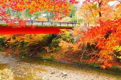 【千葉県南房総】フォトジェニックな紅葉ロードを満喫しよう！