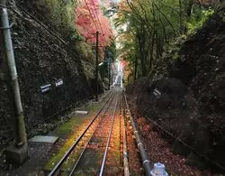 【高尾山】頂上まで楽チン登山♡高尾山の魅力をご紹介！