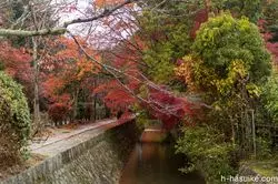 【京都】南禅寺周辺の紅葉めぐりコースをご紹介！