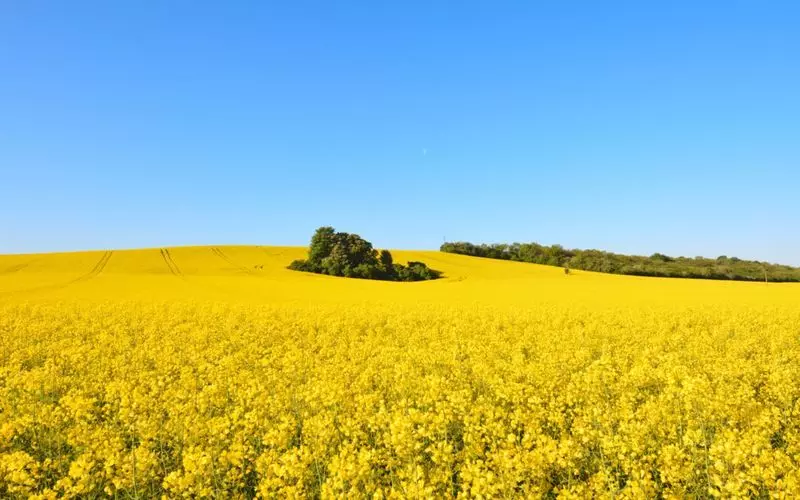 おとぎの国、チェコはいかがでしたか？ 1枚目