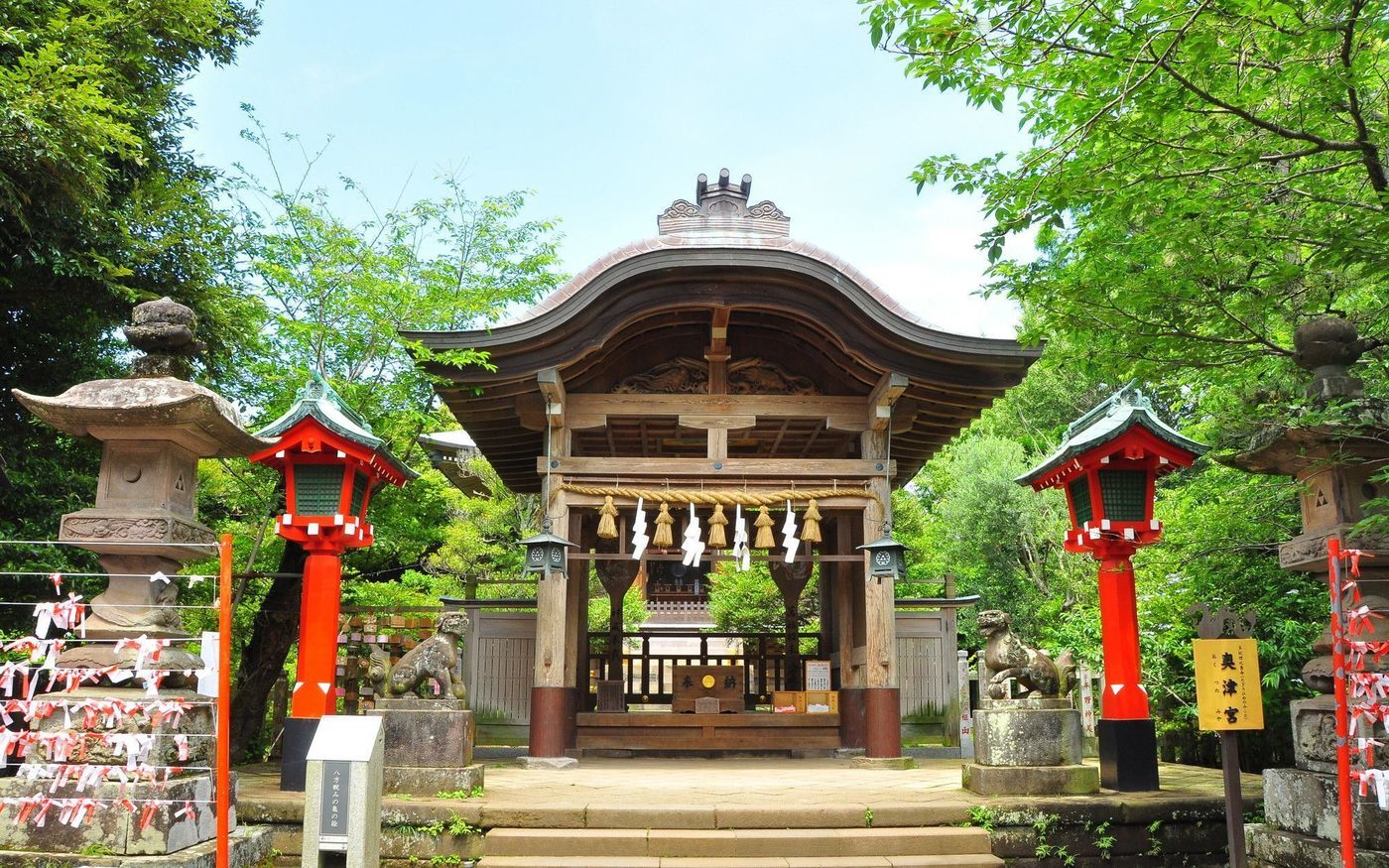 の画像