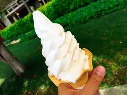 日帰りで満喫！熊本・阿蘇でのんびり旅行♪