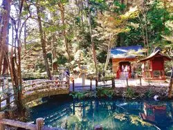 【静岡】自然もグルメも楽しんでパワーチャージもできちゃう「小國神社」