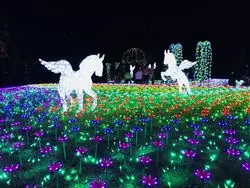 「穴場イルミスポット」1日遊べて、夜はロマンチックな東武動物公園