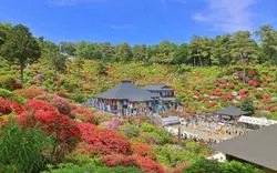 【奥多摩】大自然の神社仏閣めぐり！自然豊かなパワースポット5選☆
