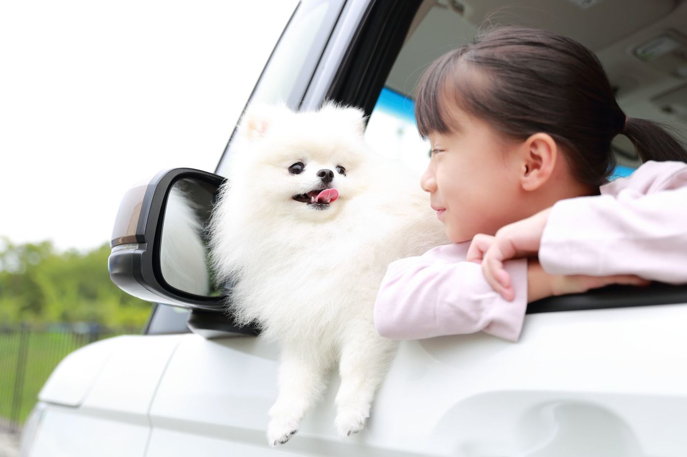 栃木県・那須のグランピングおすすめ9選！愛犬と泊まれる施設や温泉付きも紹介の画像