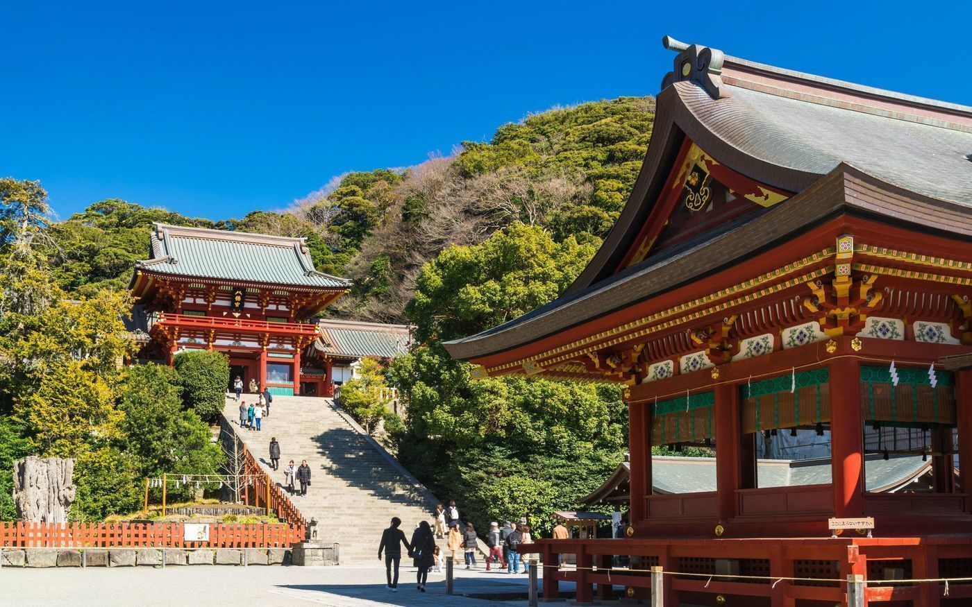 の画像