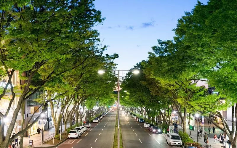 表参道の電源・WiFiのあるカフェで素敵な時間を! 1枚目