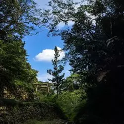 【沖縄】大宜味村のオススメスポットとグルメをご紹介☆