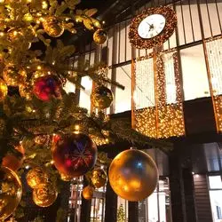 【軽井沢と佐久】のおすすめイルミネーションに行きませんか？